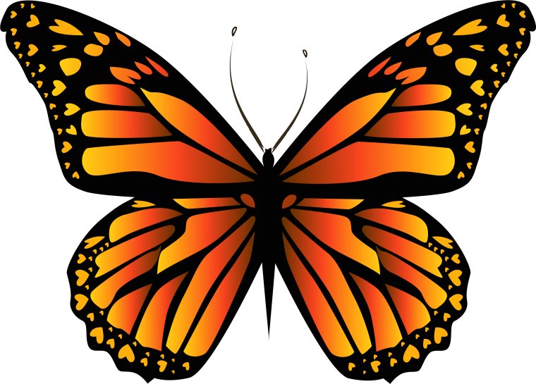Бабочка рисунок