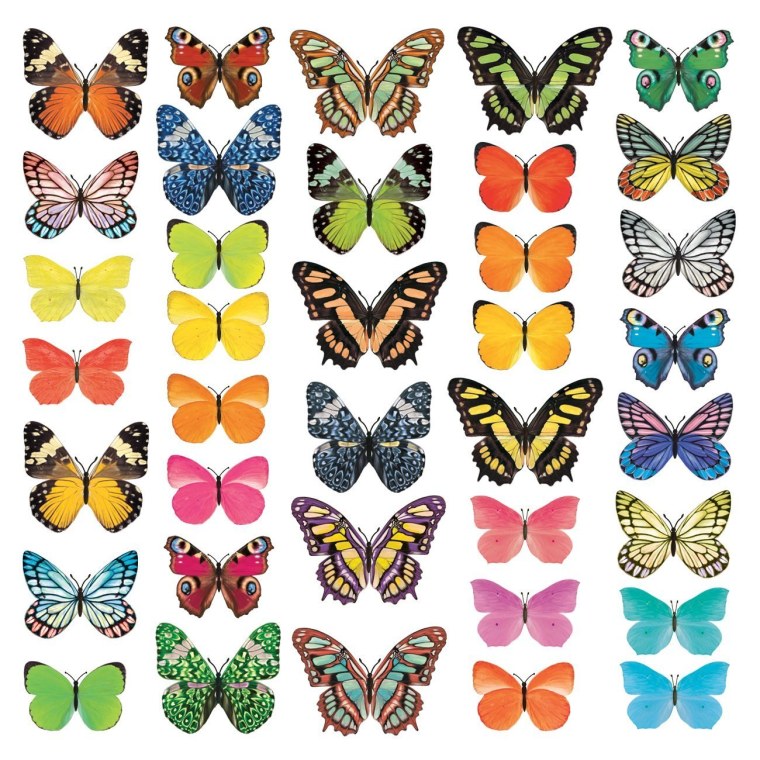 Сиреневые бабочки