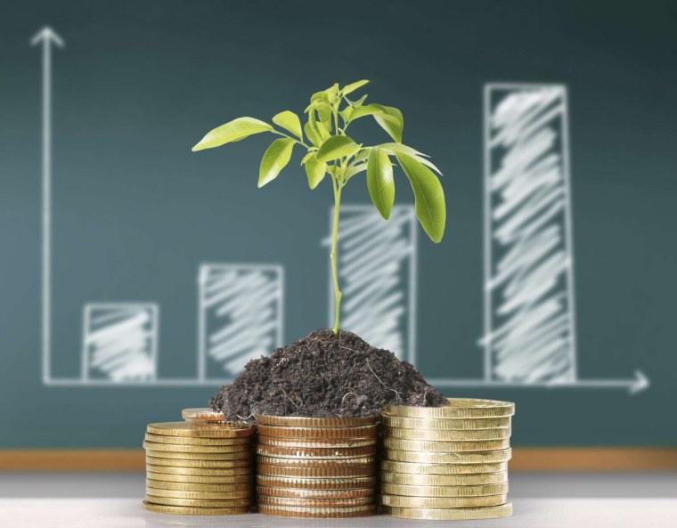 Иностранные инвестиции