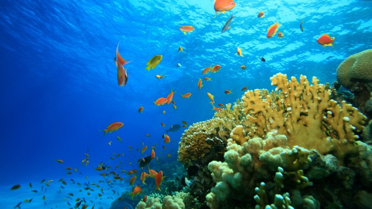 Океан внутри