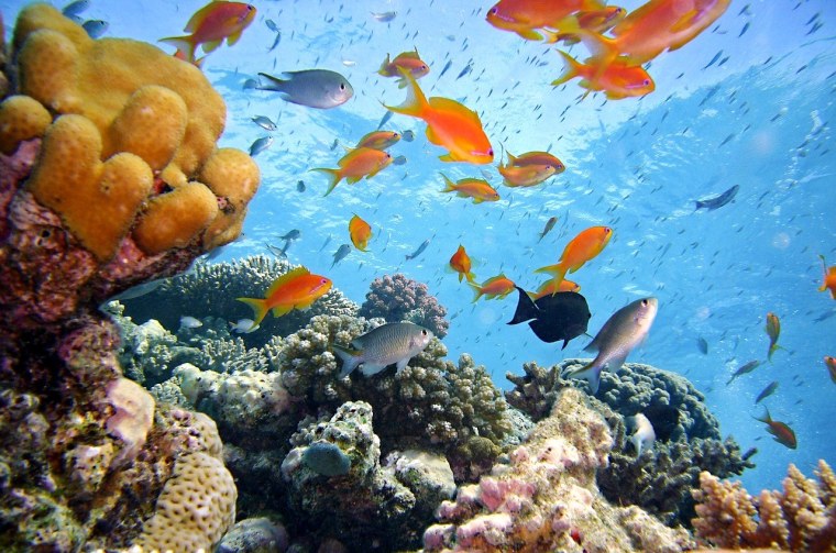 Телевизор Sony KDL-42w705