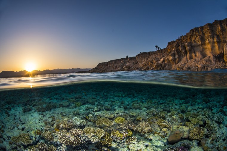 Прозрачная вода море