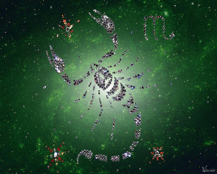 Обои на телефон Скорпион