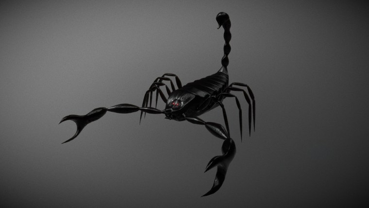 Скорпион картинки