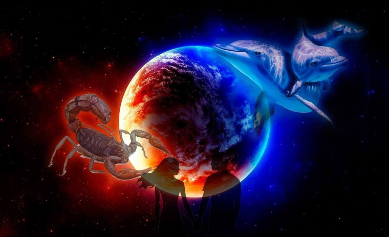 Скорпион картинки