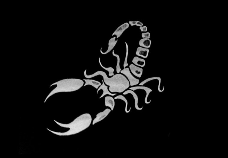 Очень красивый Скорпион