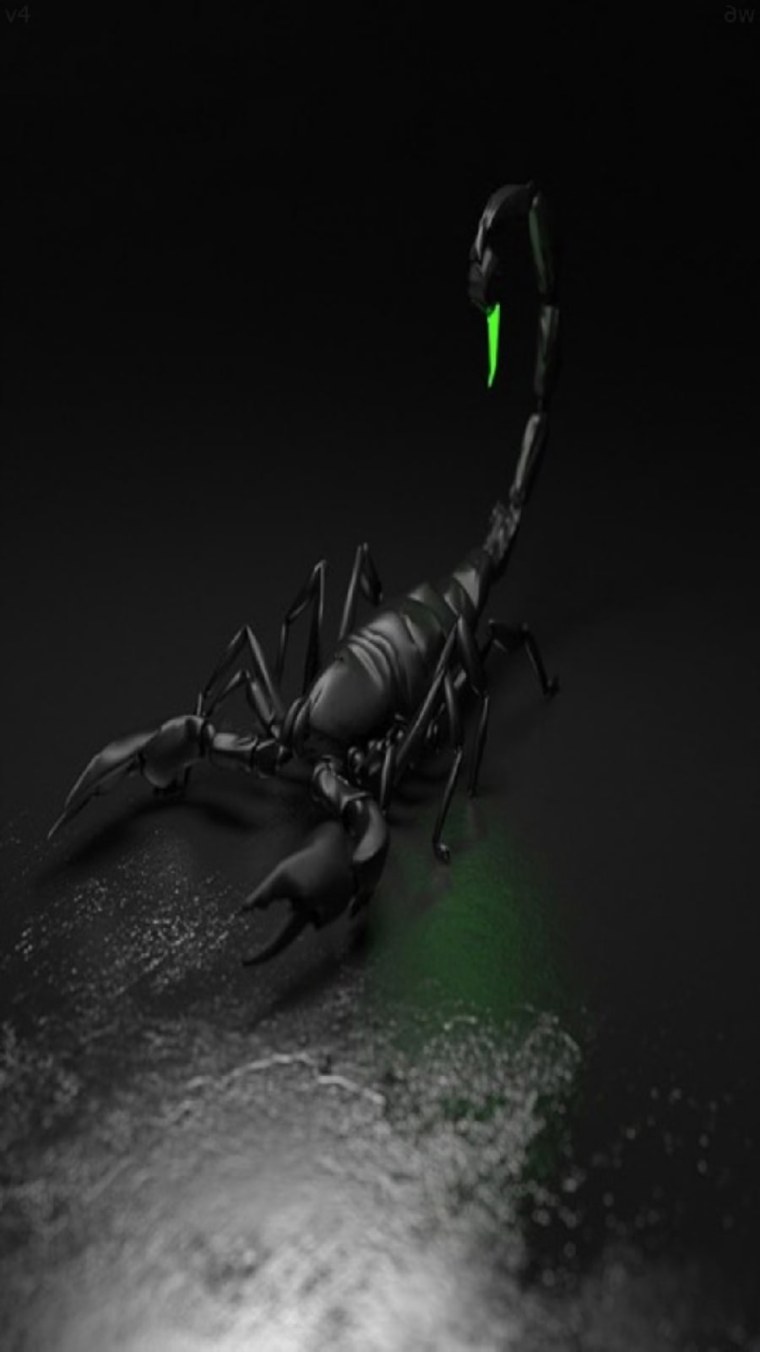 Скорпион знак