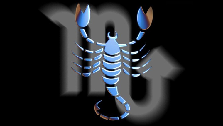 Скорпион обои