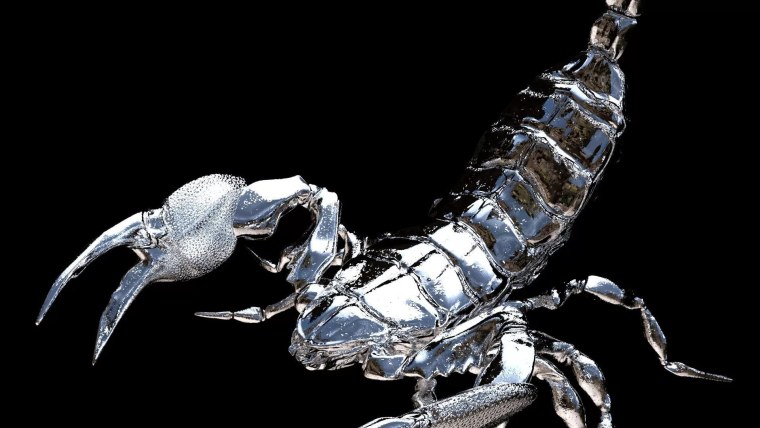 Скорпион 2021