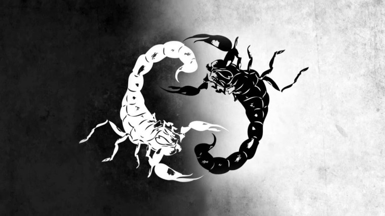 Скорпион картинки красивые