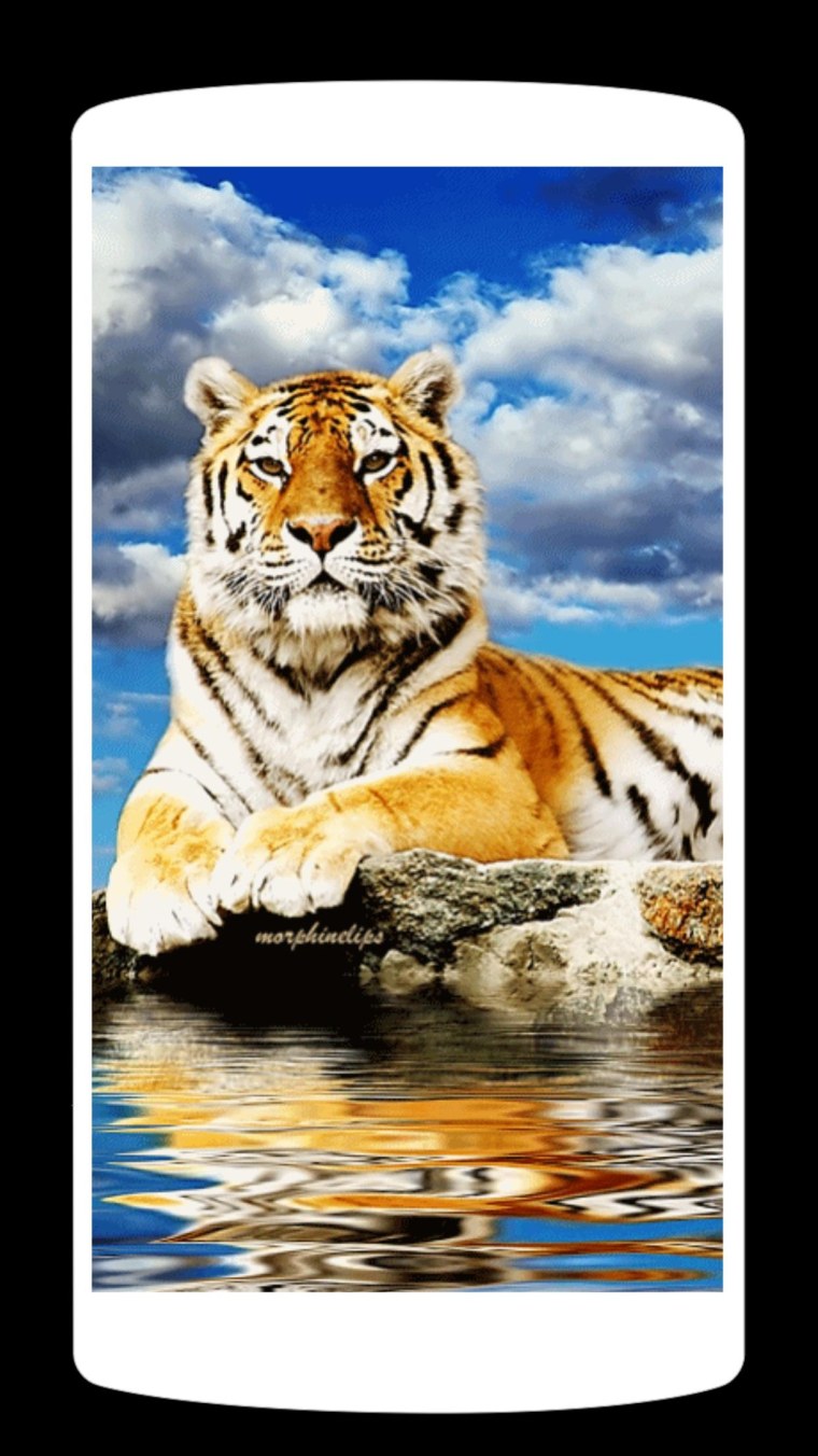 Неоновый гепард