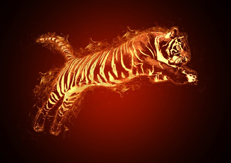 Тигр обои