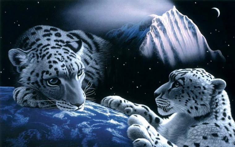 Телевизор JVC lt-24m585w