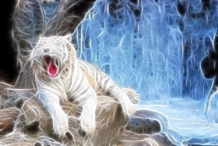 Волшебный белый тигр