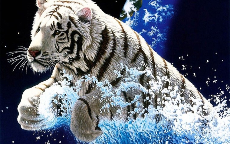 Белый тигр в воде