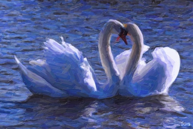 Лебедь-трубач Cygnus buccinator