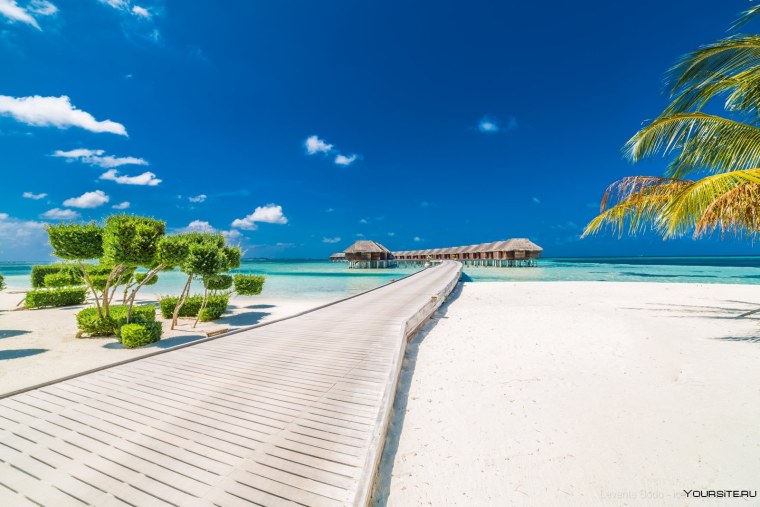 Мальдивы Южный Ари
