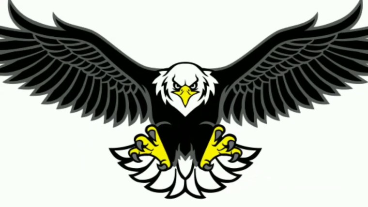 Орел птица арт