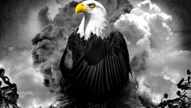 Красивые обои на рабочий стол Орел