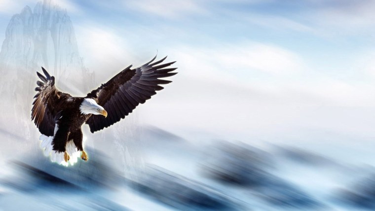 Орел на фоне неба