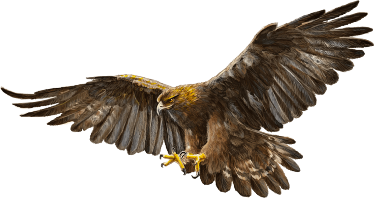 Орёл с расправленными крыльями символ