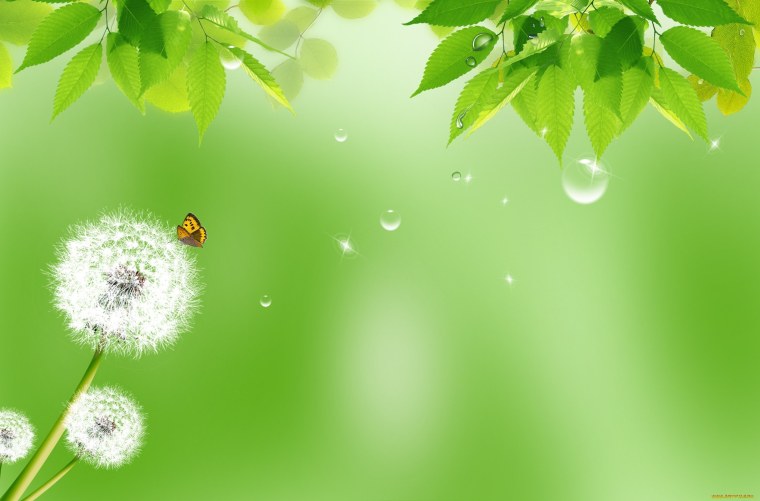 Одуванчики на салатовом фоне