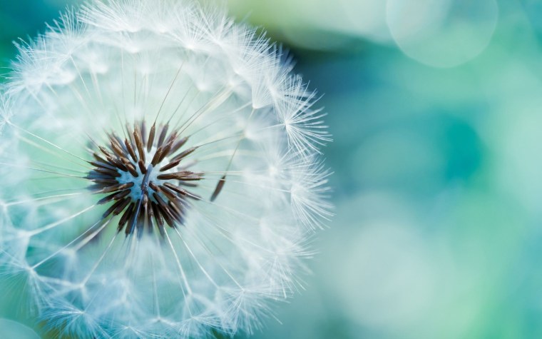 Экран EBR-16107 VIEWSCREEN