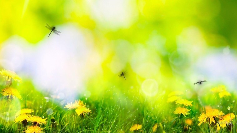 Фон для презентации лето