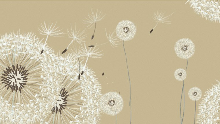 Одуванчики на салатовом фоне