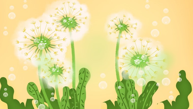 Пейзаж с одуванчиками