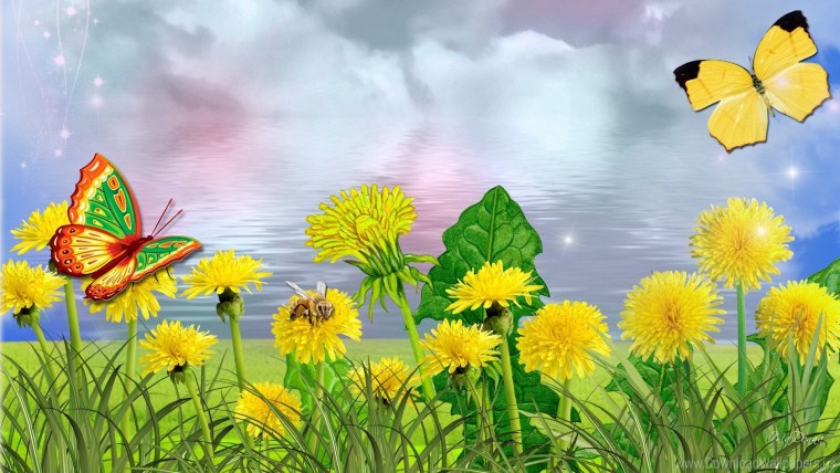 Обои одуванчики