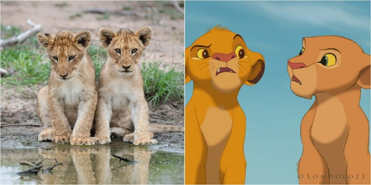 Король Лев фильм 2019 Киара