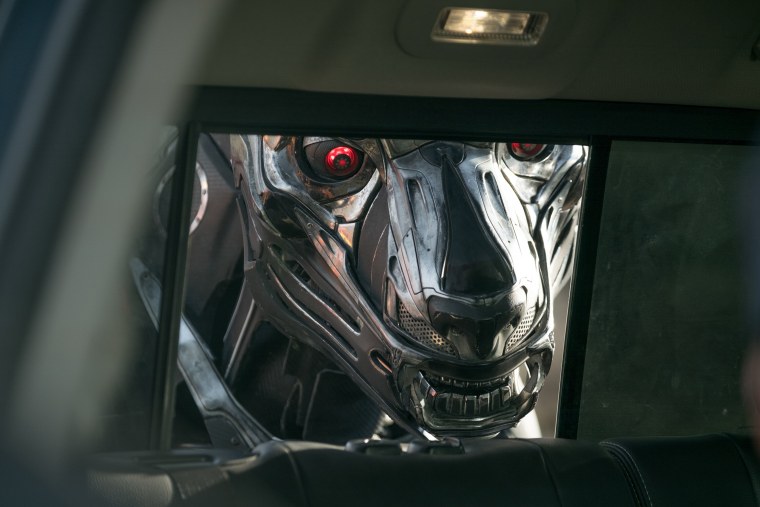 Axl из фильма собака