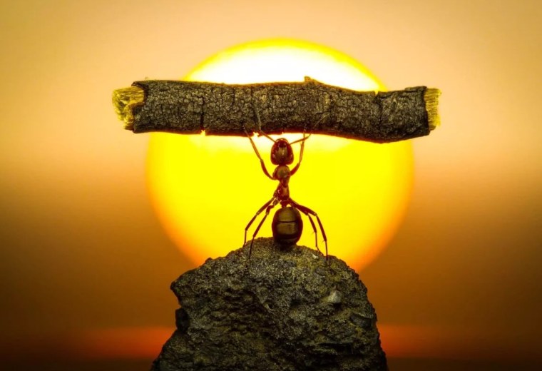 Заставляй себя в те моменты когда ничего не хочется