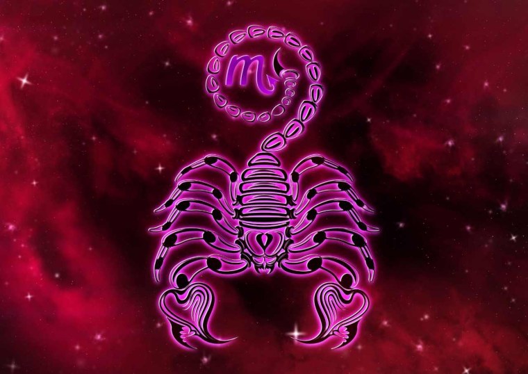 Зверь по знаку зодиака Скорпион