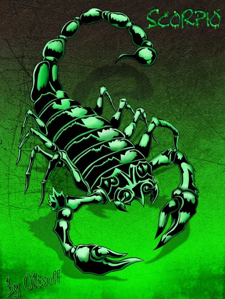 Скорпион черно белый