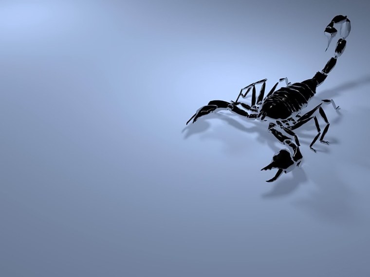 Скорпион обои