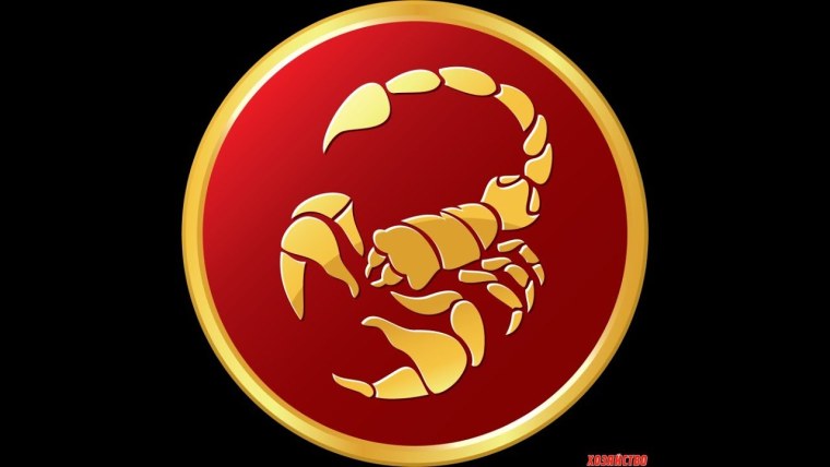 Скорпион аватарка