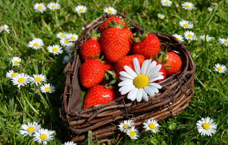 Ромашки и ягоды