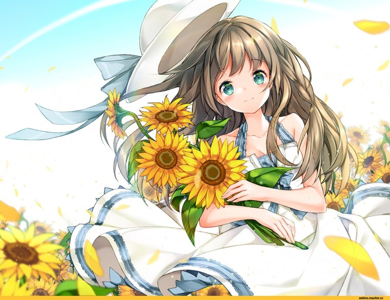Аниме девушка с подсолнухами