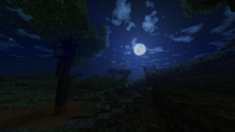 Ночной лес в МАЙНКРАФТЕ