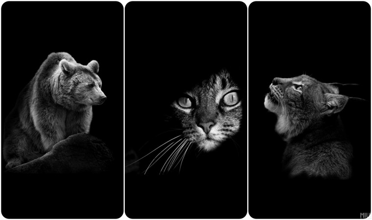 Тройные обои