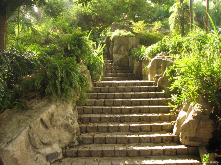 Лестница фото