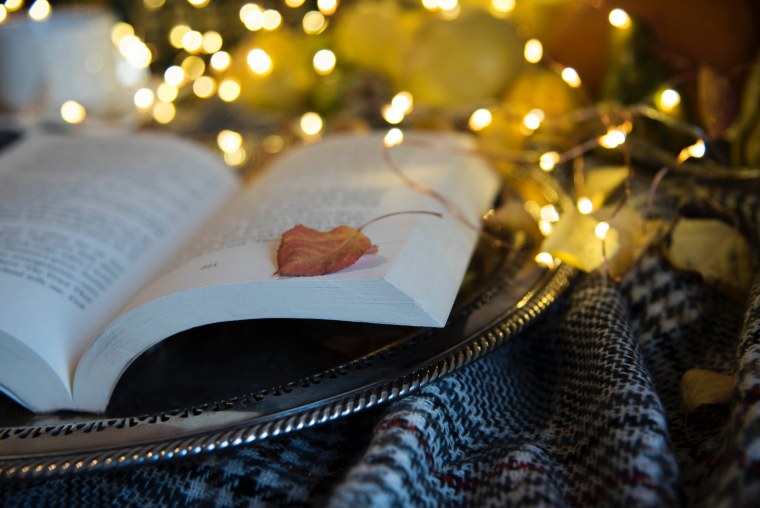 Эстетичный новый год и книги