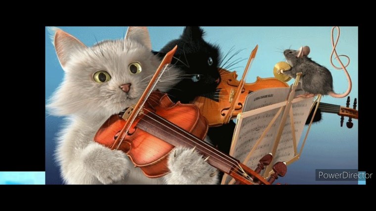Коты музыканты