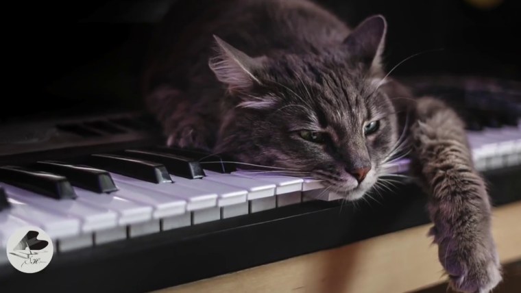 Гитара "котенок"