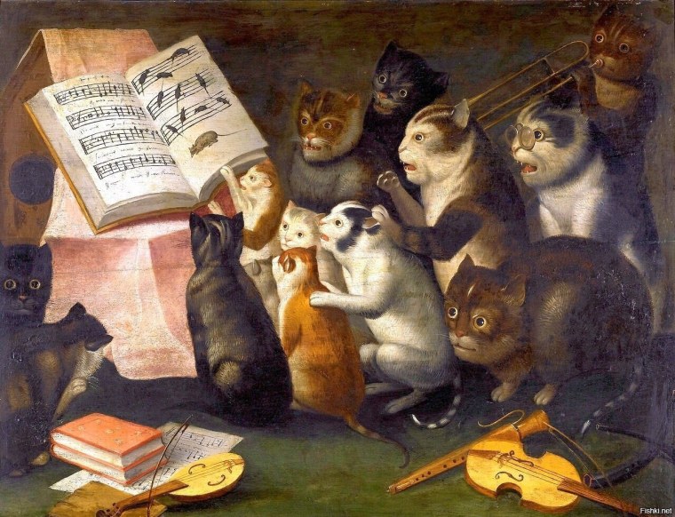 Кот в наушниках