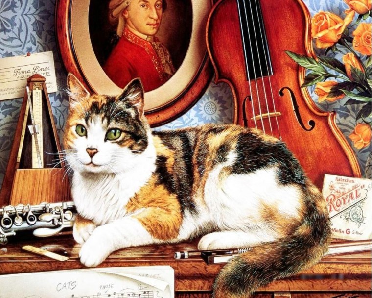 Степан Каширин коты