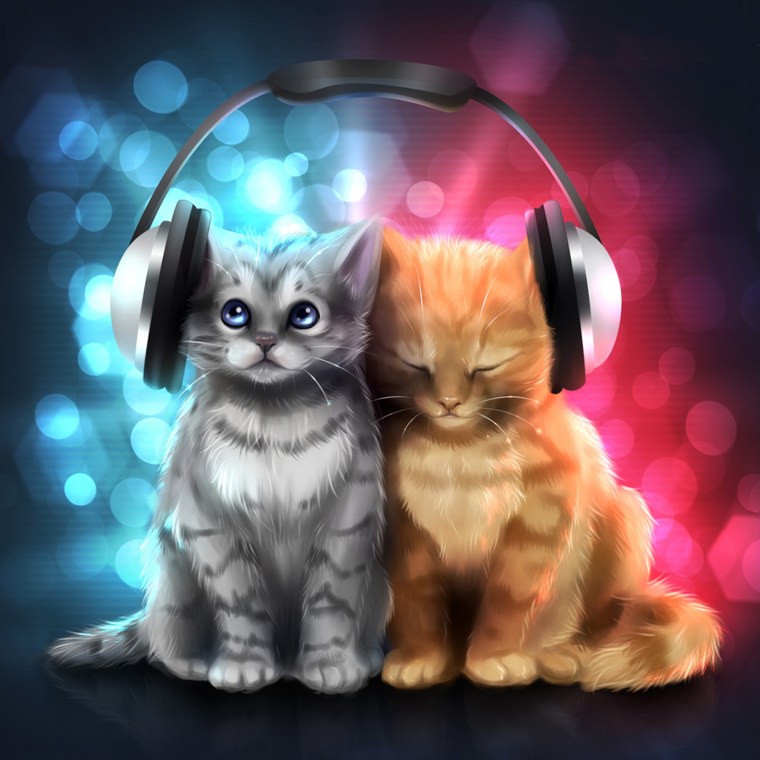 Котик музыкант