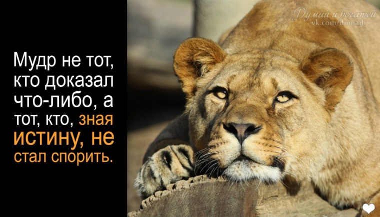 Львица рычит на Льва